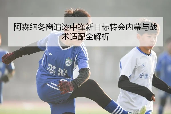 阿森纳冬窗追逐中锋新目标转会内幕与战术适配全解析